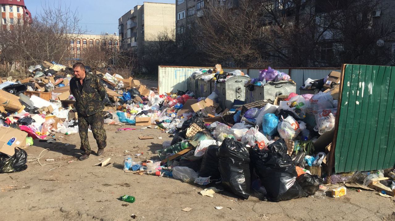 От вонючих крыс стало душно жить»: власти края поставили санитарное  состояние Ейска на грань ЧС