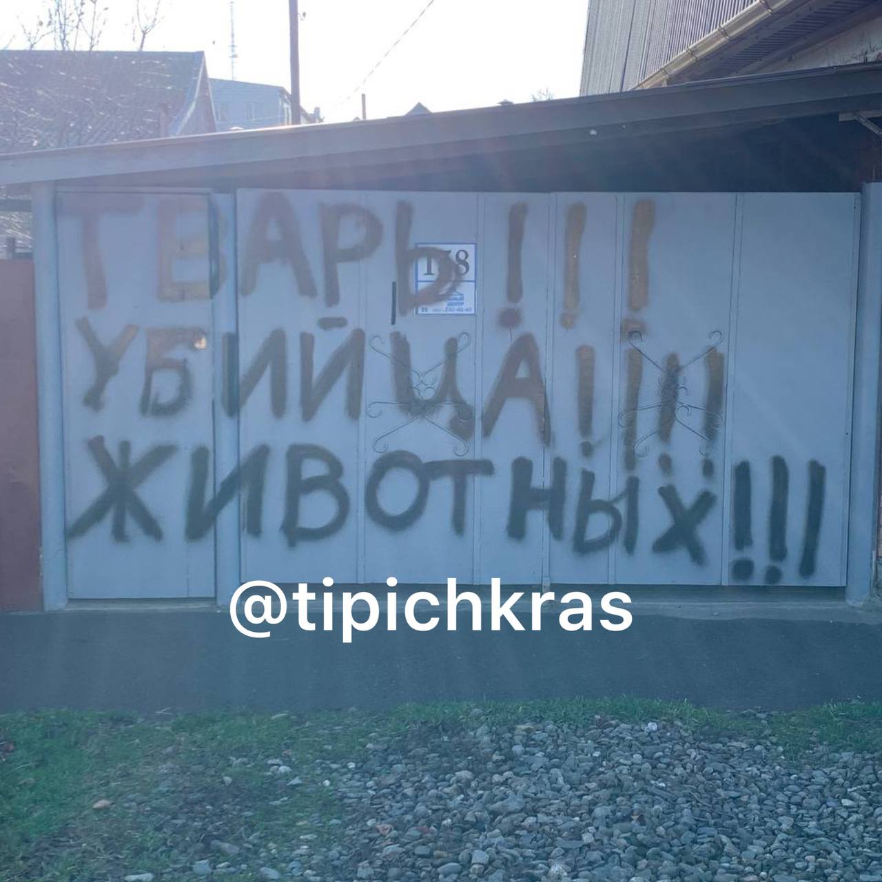 Тварь! Убийца! Животных!» В Краснодаре объявили войну живодерам – дальше  суд Линча?