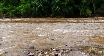 Уровень рек в Сочи достиг критических отметок, потоком смыло автомобиль