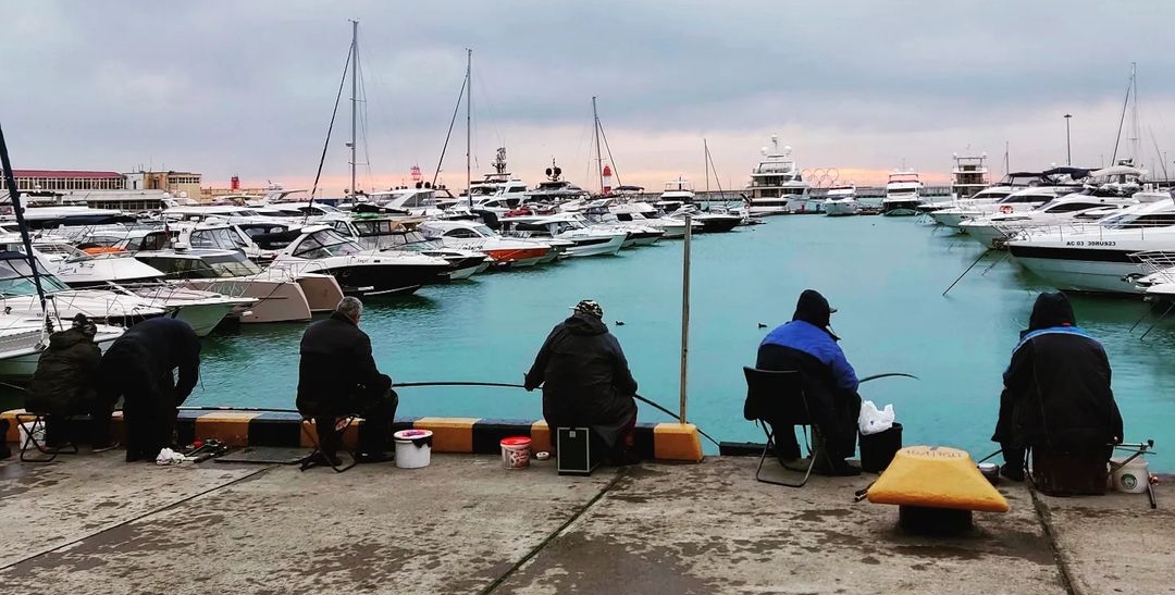 Шторм в Сочи загнал косяки форели в акваторию морпорта