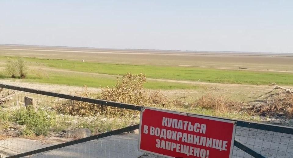  «Не пойдёт дождь - ждите мор рыбы, а водоросли будут выделять яд!» Эксперты рассказали о последствиях обмеления Краснодарского водохранилища