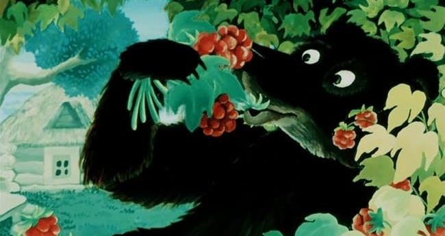 «На Кубани косолапый решил полакомиться чужим урожаем»: в Сочи медведь забрёл в огород – ВИДЕО