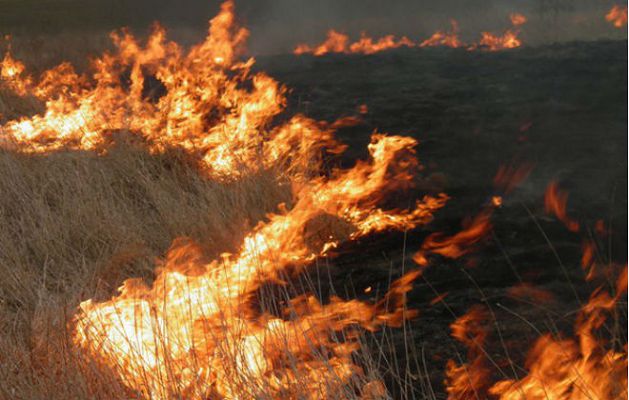 «Кубань снова задыхается в дыму!» В Успенском районе на поле начался пожар, пожарные час тушили 200 квадратных метров горящей травы - ВИДЕО 