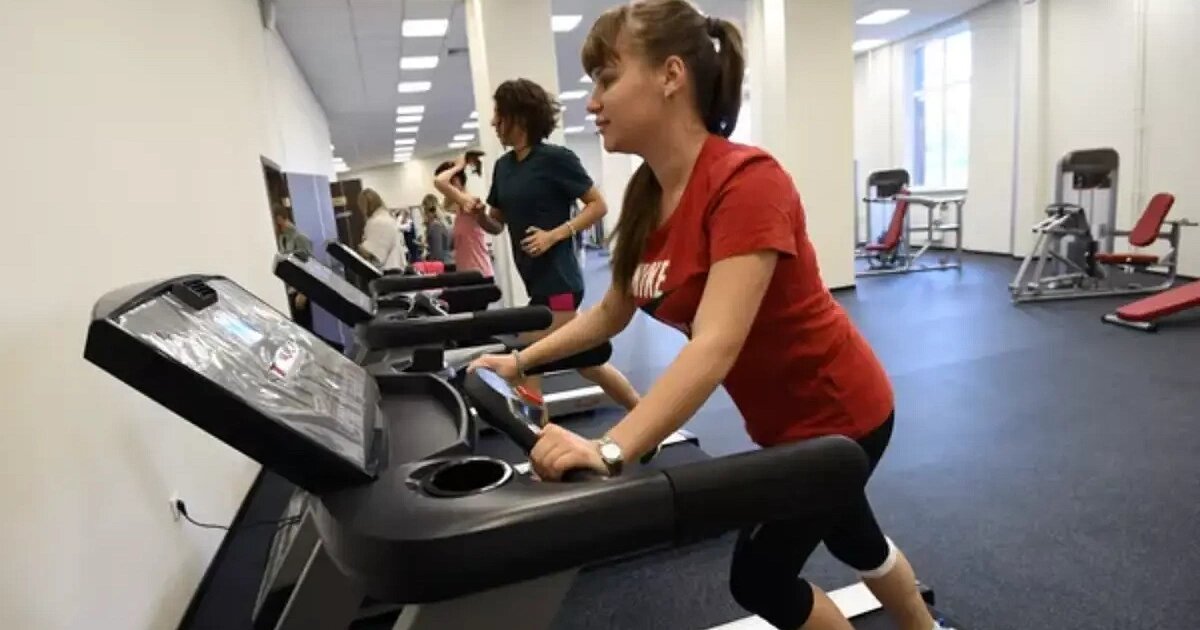 Рост числа фитнес-клубов в Краснодаре составляет более 36%