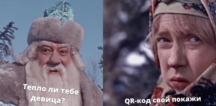 Граждане РФ будут проверять наличие QR-кода и ПЦР-теста у Деда Мороза