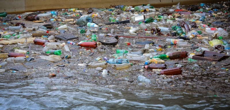 «Мы всё ближе к страшной экологической катастрофе»: в сочинской реке зафиксировано превышение вредных веществ