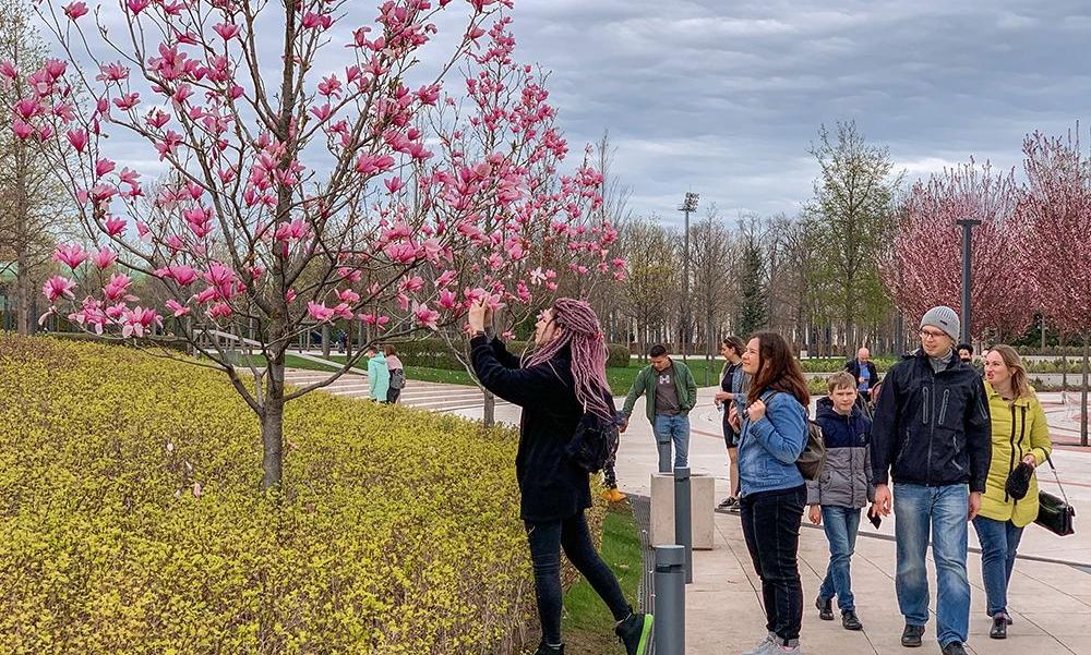 «На Кубань вернулась зима?» 31 марта в крае ожидаются дожди, местами - со снегом