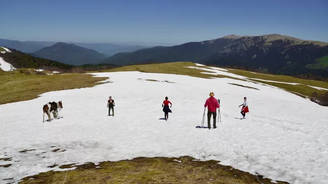 В горах Сочи лёг устойчивый снег, но только половина туристов катается на лыжах и сноубордах: для остальных в Госдуме придумывают новые активности