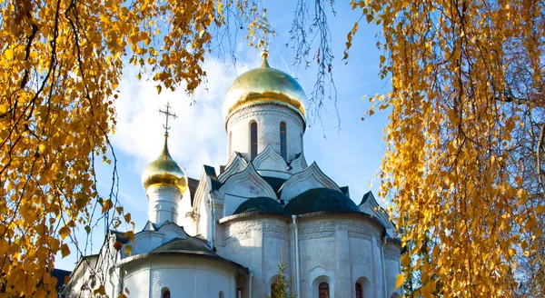 «Совсем не по-христиански»: в Ханты-Мансийске женщина била малышку и ругалась матом из-за того, что та убежала из церкви - ВИДЕО