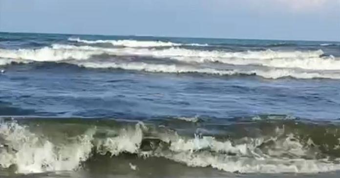 «Купаться запрещено!» В Анапе шторм, местные жители и туристы жалуются на вонь с моря – ВИДЕО