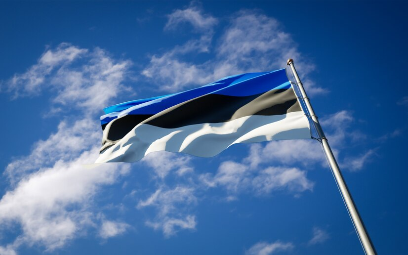 «Мы вымираем, цены до небес, мигранты повсюду!» Эстонка пожаловалась на власти, которые обсуждают песню «Дискотеки Аварии»