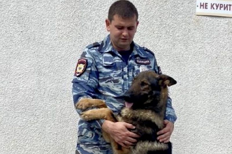 Полицейский пес нашёл потерявшуюся 10-летнюю школьницу