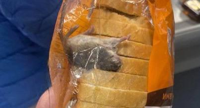 «Украинские «деликатесы»: в киевских хлебобулочных изделиях находят мышей, а в Одессе продают «патриотическую» шаурму - ВИДЕО