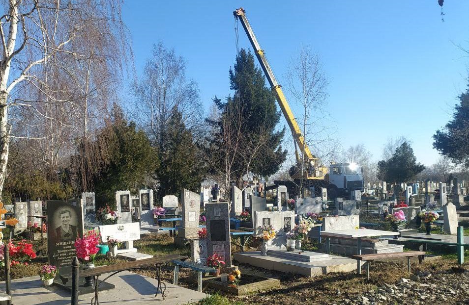 На Кубани ёлку с кладбища не будут устанавливать около роддома