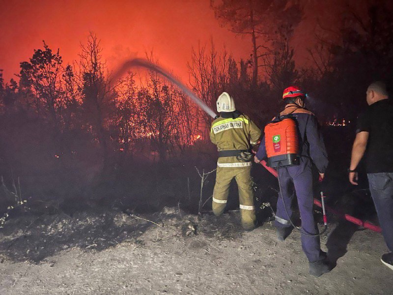 «Пламя приближается к жилым домам! Всё в огне!» В Геленджике в сосновом лесу разгорелся второй пожар за день - ВИДЕО