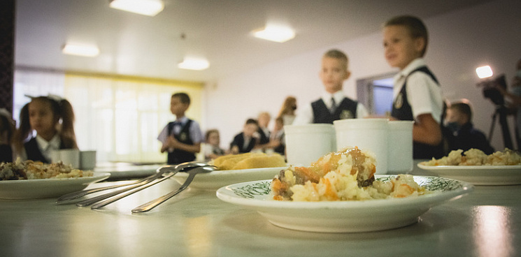 «На детях наживаетесь?» В Краснодаре антимонопольная служба проверяет закупки продуктов Комбинатом школьного питания