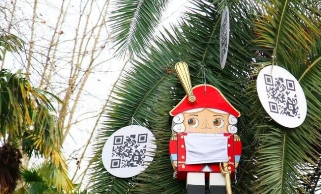 В Сочи появилась агитационная пальма с QR-кодом, исполняющая желания