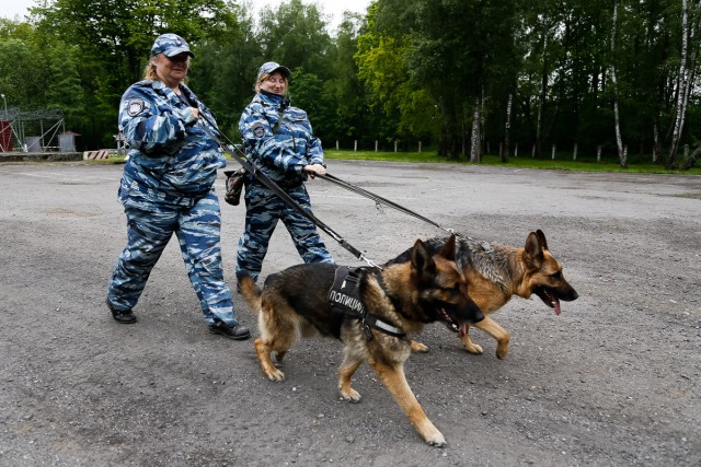 «Вычищают край от нечисти!» На Кубани полиция объявила в розыск крупного вора, состоящего в ОПГ