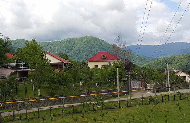 В Сочи для привлечения туристов откроют экофермы 