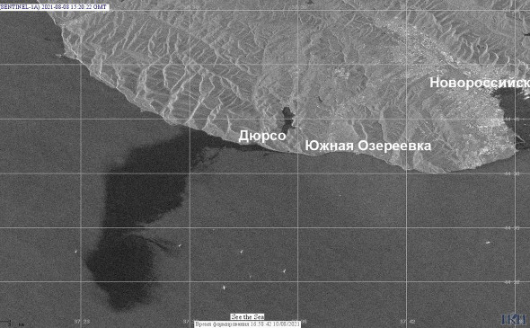 Гендир Каспийского консорциума не увидел в Черном море разлива нефти