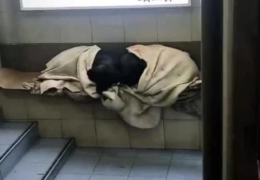 В Сочи на рынке неравнодушные жители накрыли собак одеялами от холода