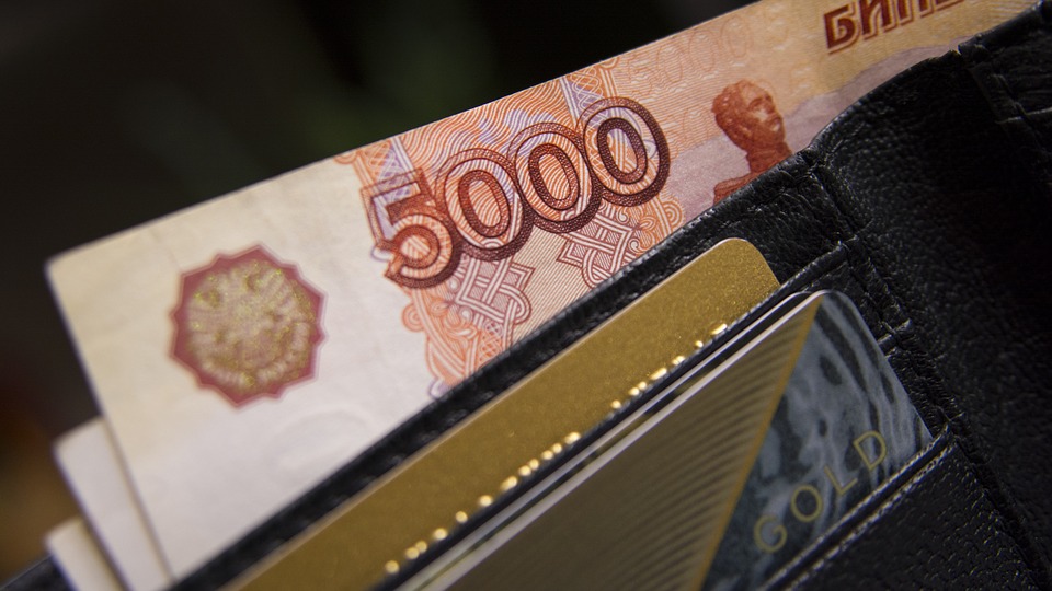 Жители России назвали доход, необходимый для достойной жизни