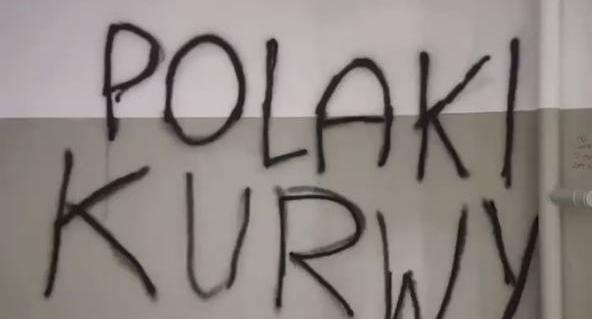 «Курвы польские!» В Польше беженцы из Украины съехали со съёмной квартиры и «отблагодарили» хозяев за гостеприимство – ВИДЕО