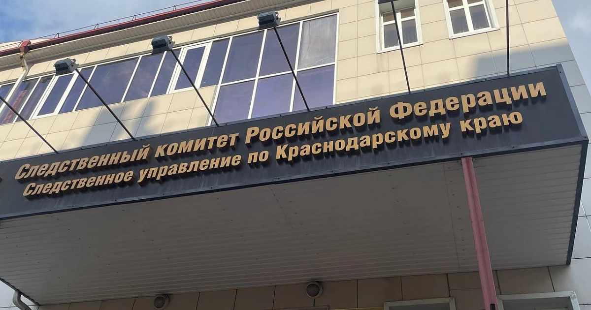 Глава СК потребовал доклад после нападения на ребенка в ТЦ Краснодара