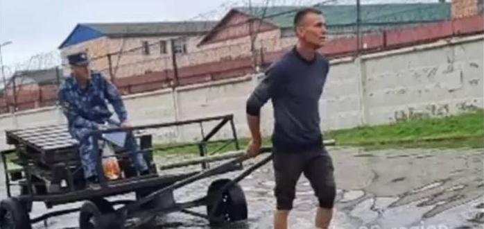 «Поехали! Но!» В Приморском крае во время потопа сотрудник ФСИН «запряг» в телегу заключённого – ВИДЕО