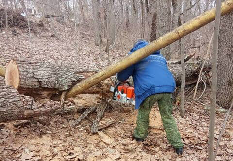 В горах Горячего Ключа упало дерево на газопровод