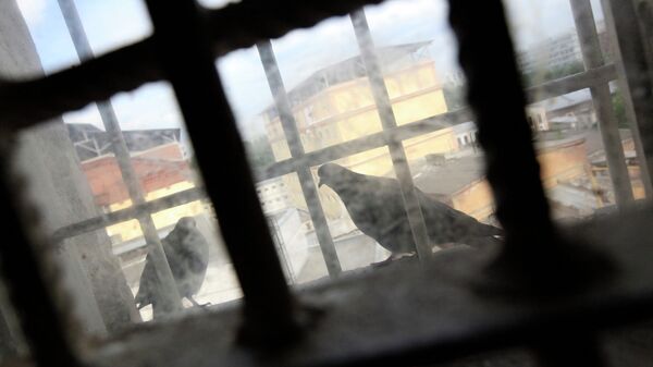 «Прорубил окно в тюремное будущее!» В Краснодаре мастер по установке окон взял у клиента 50 тысяч и исчез – его нашла полиция 