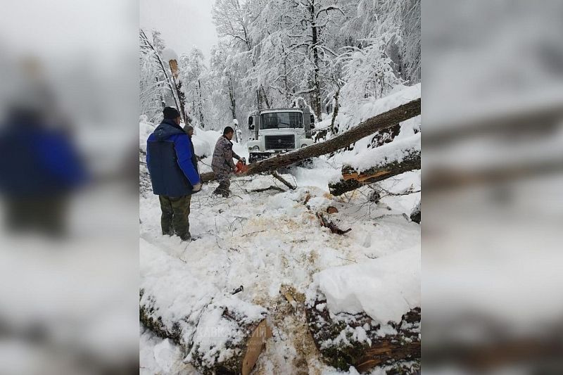 Из-за непогоды заблокированы дороги в Кавказском заповеднике