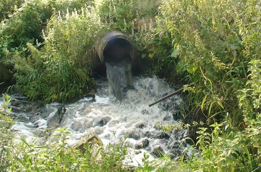 Экологи подтвердили слив инфильтрата с мусорного полигона Новороссийска