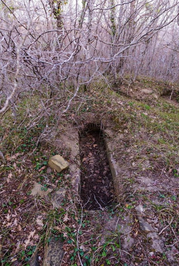 Выяснилось, что вандалы, которые провели раскопки на территории древних захоронений в районе Широкой Балки, могли искать в старых могилах ценности 12-15 веков.png