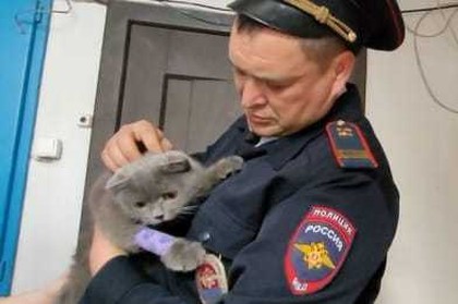 В Тимашевске полицейский спас кота 