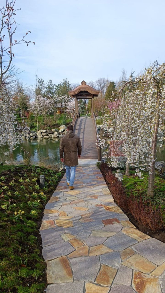 Японский сад1.jpg