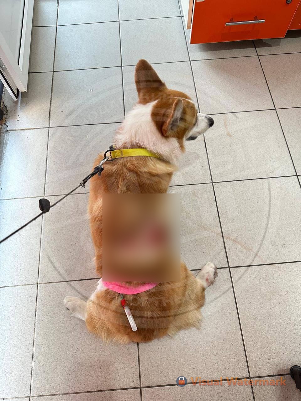 photo_2025-09-23_16-31-11 (1).jpg