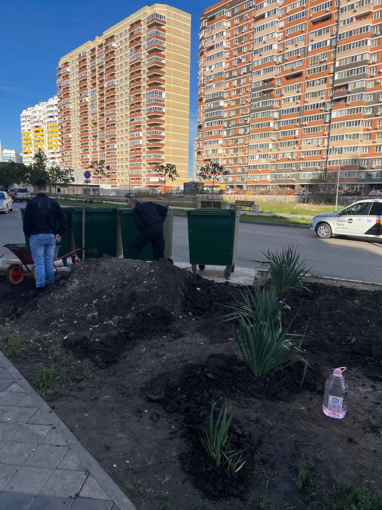 На месте свалки на Проспекте Писателя Знаменского, 32 высадили цветы.jpg
