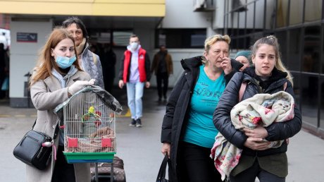 Эвакуированные из Украины беженцы привезли с собой в Пензу 42 котов, 38 собак, а также попугая, белку, дегу и хомяка.jpg