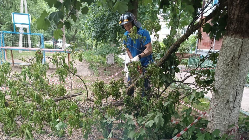 В Краснодаре работают спасатели