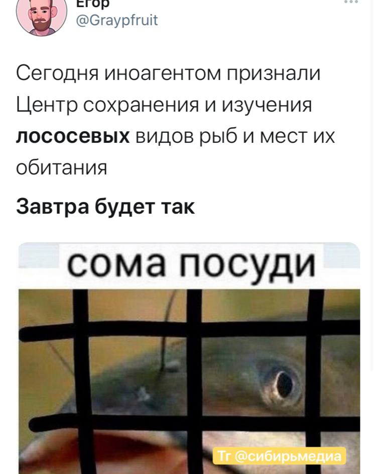 Шутки про лосося4.jpg