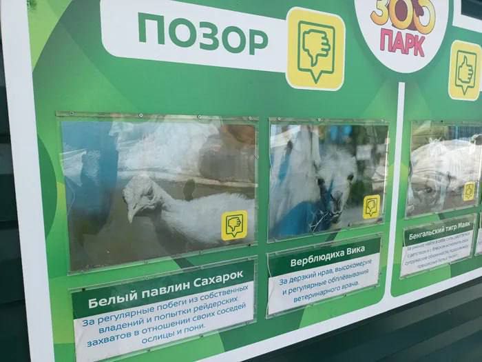 Доска позора в барнаульском зоопарке.jpg