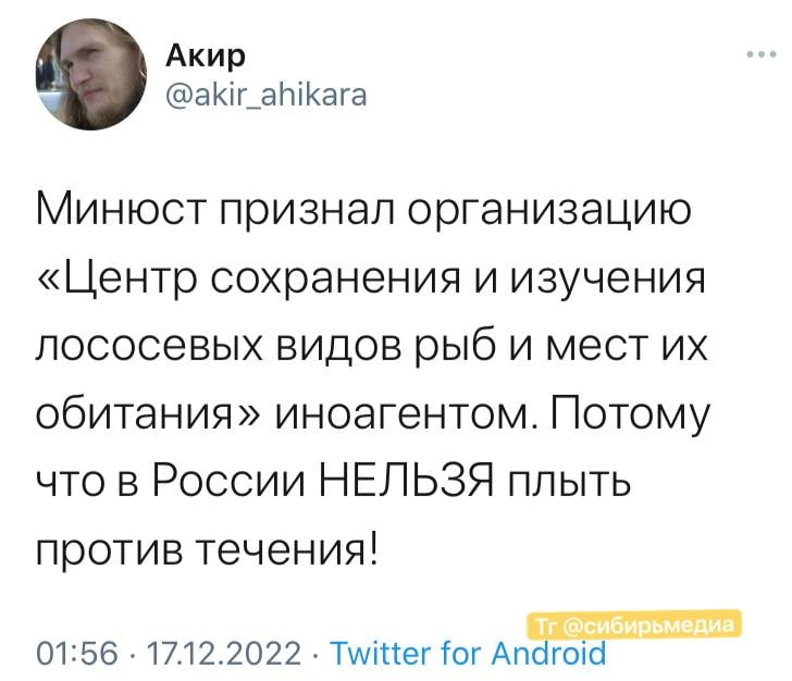 Шутки про лосося.jpg