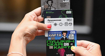 «Махинации с «мёртвыми» школьниками»: в России мошенники научились зарабатывать на «Пушкинских картах»
