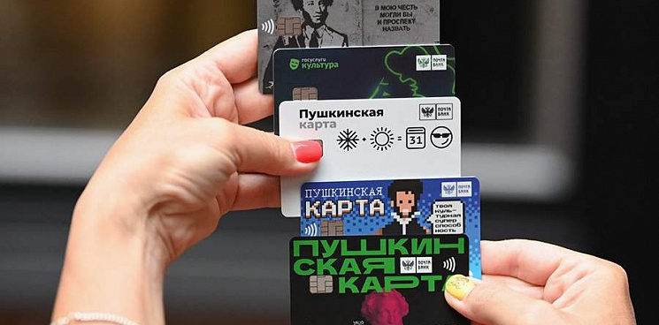 «Махинации с «мёртвыми» школьниками»: в России мошенники научились зарабатывать на «Пушкинских картах»