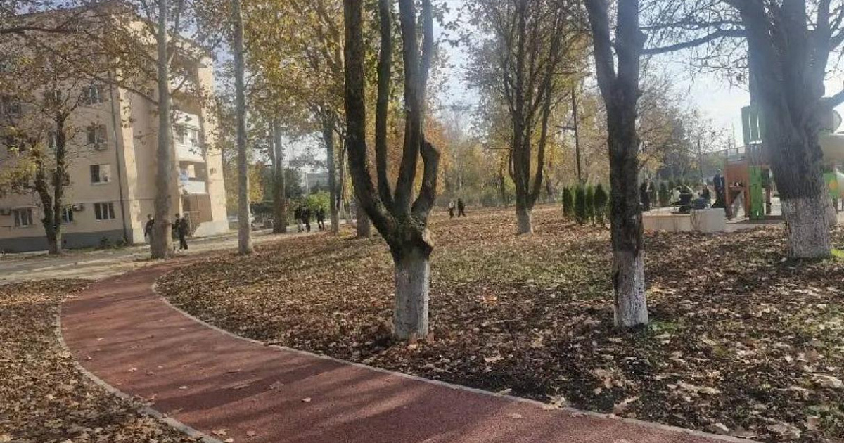 В станице Динской на Кубани благоустроили зеленую зону