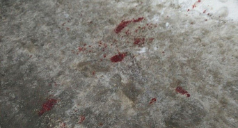 «Слово девчонки» - две школьницы на Камчатке подрались до крови под вопли толпы