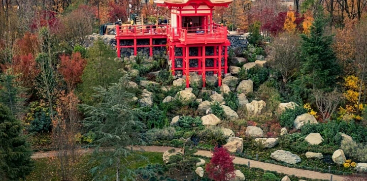  «Эти люди стоят там со времён открытия?» В Краснодаре очередь из желающих посетить «Японский сад» в парке Галицкого не уменьшается - ВИДЕО