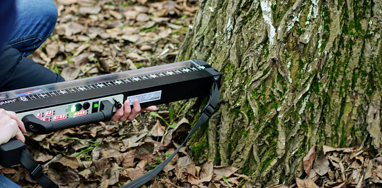 В Краснодаре появится новый аппарат для обследования аварийных деревьев 