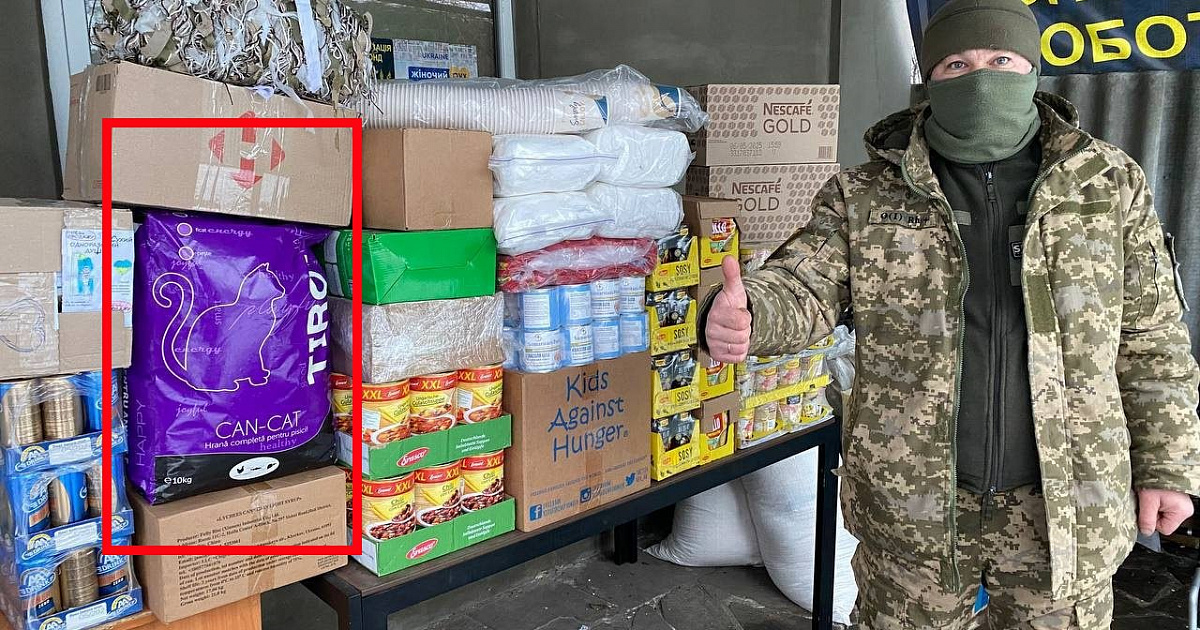 «Сначала было противно, потом привыкли»: боевикам ВСУ присылают в окопы кошачий корм